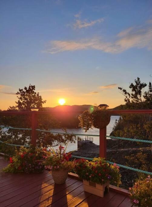 Hatchet Harbour Vacation Home Herring Neck Exterior foto