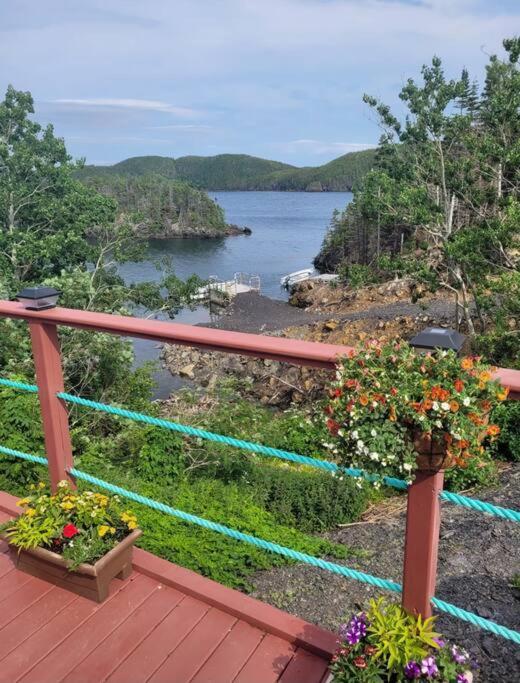 Hatchet Harbour Vacation Home Herring Neck Exterior foto